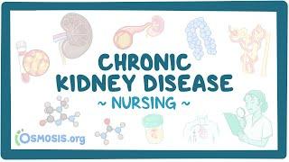 Chronic kidney disease: Clinical Nursing Care