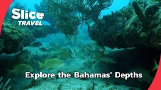 Discover the Bahamas: A Hidden Ocean Paradise | SLICE TRAVEL | FULL DOC