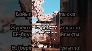 Әсерлі сөздер. ғибратты сөздер. қанатты сөздер. нақыл сөздер. ұлағатты сөздер. сөздер. мотивация сөз