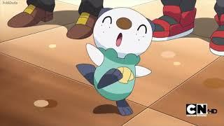 Pokémon | And The Cutest Drummer Is...Oshawott | PokéDude