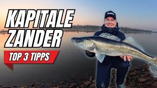 Top 3 Tipps für KAPITALE ZANDER im Winter!