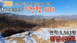 (매매완료)[매물번호121]가평 확~트인 조망 5천평대 임야/서울에서 1시간내 거리 /평당4만원/수목갱신신청후 대추나무 식재된 상태/자연인,유실수,특용작물 임산물재배지로 활용