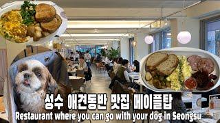 성수 애견동반맛집, 애견동반식당 메이플탑 (Restaurant where you can go with your dog in Seongsu)