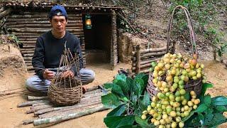 Building primitive basket - find wild fruit in the rainforest