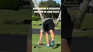 Day 142 of becoming a scratch golfer in 1 year #golf #golfskill #bammikell