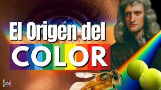 Descifrando el Misterio de los Colores: Orígenes y Fenómenos | Teoría del Color