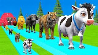 Paint & Animals Cow,Gorilla,Elephant,Giraffe,Tiger,Lion, Fountain Crossing Transformation Cartoon