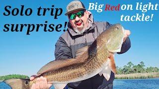 Big redfish on light tackle! #fishing #bigfish #redfish #trout