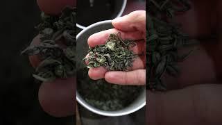 How to Make Kahwa (Green Tea) | PESHAWAR, Pakistan food