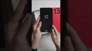 OnePlus 13 Obsidian Secret Realm Unboxing The ebony wood grain glass back cover feels