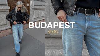 Идеальные джинсы | ДУЗЬЯ, ЕДА и ШОПИНГ в ZARA | live vlog