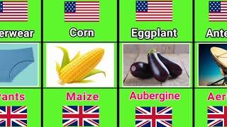 Differences Between British vs American English Words | Part - 2