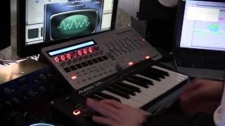 Alesis Q25 Omnisphere (Scary Fox Keyboard Fast Demonstration)