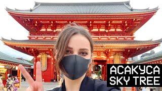 ОГРОМНЫЙ Храм + Tokyo Skytree 【JAPAN STREAM】2022