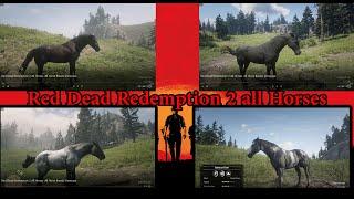 Red Dead Redemption 2 All Horses /All Horse Breeds Showcase