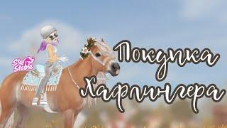 ПОКУПКА ХАФЛИНГЕРА|Star Stable Online