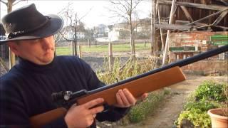 CO2 Gewehr Haemmerli Match - Plinking