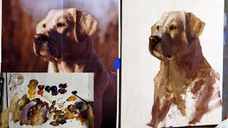 Painting The Yellow Labrador with Acrylics Part 1 Blocking In