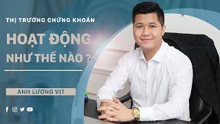 BẢN CHẤT THẬT SỰ của Thị Trường Chứng Khoán Việt Nam | Anh Lương Vịt