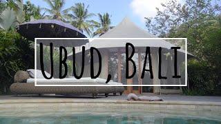 Luxury Camping Bali -  Sandat Glamping Ubud | Property Tour