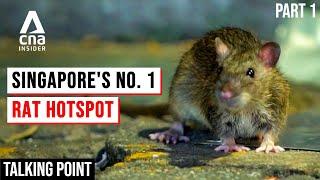 Rat Infestations In Singapore: Where Are They Hiding? - Rats Part 1/2 | Talking Point | Full Episode