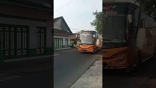 jetbus# BR queen trans orenge,pak sopir kasih #telolet #shorts