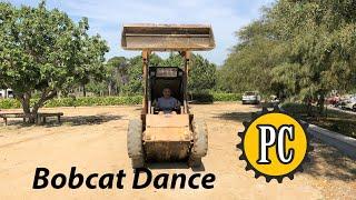 Bobcat Dance