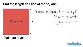 Perimeter and Length of a Square