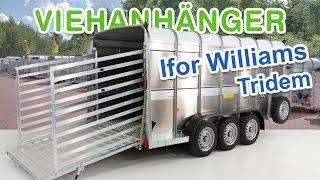 Viehanhänger Viehtransporter - IFOR WILLIAMS 178x427x183cm 3,5t Tridem KOCH PKW Anhänger