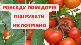 ЧОМУ Я НІКОЛИ НЕ ПІКІРУЮ ПОМІДОРИ!  САДЖУ ЗА СХЕМОЮ.