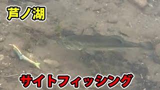 2度目の#芦ノ湖 ジョイクロ＆スモラバでサイトフィッシング #バス釣り