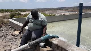 Filling water in the pond from the fountain as  source around the village in Tanzania 0713012117