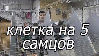 КАК СДЕЛАТЬ КЛЕТКУ ДЛЯ САМЦОВ, клетка из сетки.