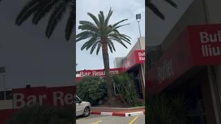 Где вкусно поесть в Испании? #shorts #short #shortvideo #youtubeshorts ￼