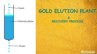 Gold Elution Plant & the Process in Zimbabwe