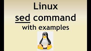 SED command in Linux, Unix with examples | How to use SED command | Linux Tutorials