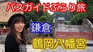 バスガイドぶらり旅  vol.18  鎌倉鶴岡八幡宮