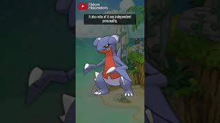 Gible's adorable puppy look becomes a perfect dragon in Garchomp | #pokemon