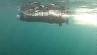 Autonomous Underwater Vehicle (AUV) ALISTER 9.flv