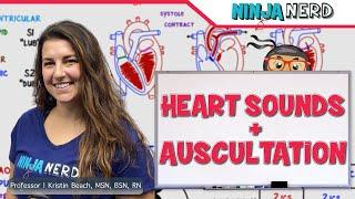 Heart Sounds and Auscultation