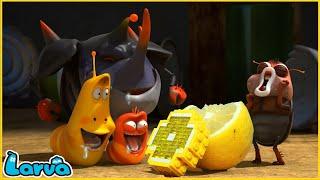 LARVA | LEMON | CARTOON MOVIE FOR LIFE |THE BEST OF CARTOON | HILARIOUS CARTOON COMPILATION