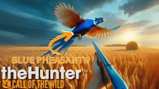 I SHOT A BLUE Pheasant!? | Salzweisen Park | theHunter: Call of the Wild