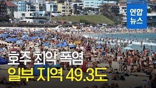 호주 크리스마스 덮친 최악 폭염…한국인 등 7명 익사 / 연합뉴스 (Yonhapnews)