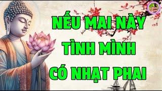 Yêu Sai Một Người Giống Như Chọn Đôi Giày Không Phù Hợp Mang Vào Lại Đau Chân Bỏ Đi Lại Không Đành