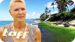 "Deutschland hat mich krank gemacht!" Auswanderer auf Hawaii | taff | ProSieben