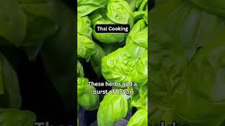 Facts About Thai Food - Basil & Cliantro