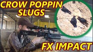 CORVID PEST CONTROL - SLUG & PELLET SLINGING - FX IMPACT - FX DREAMLINE