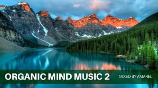 Organic Mind Music 2 by Amarel (Ambient)