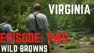 A Day Full of Big Wild Brown Trout! VIRGINIA EP 2