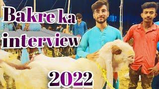 Sukkur Ki maweshi Mandi ka sabse bada Bakra ka  interview 2022 #mrsufyanvlog #vlog